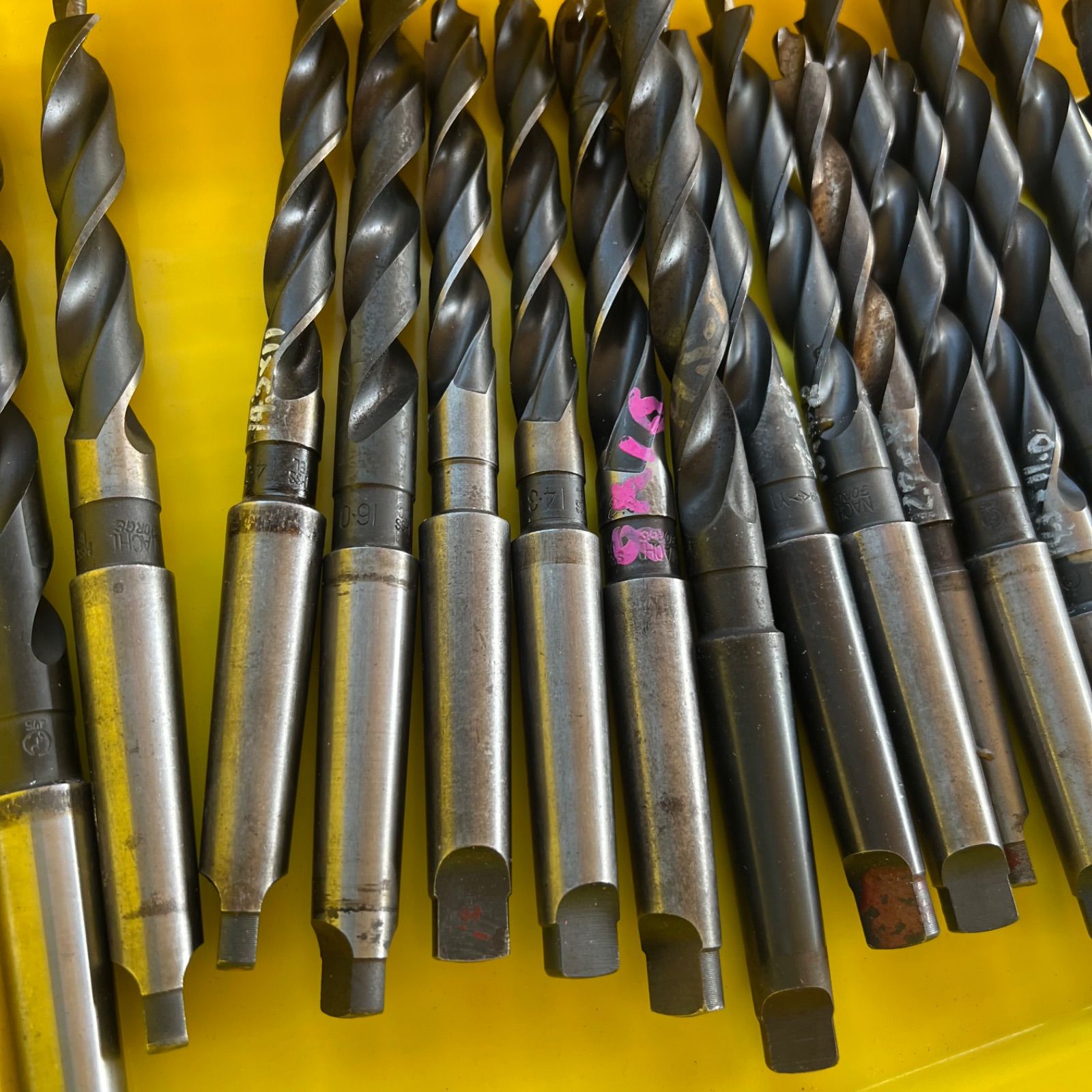 まとめ売り 5キロ