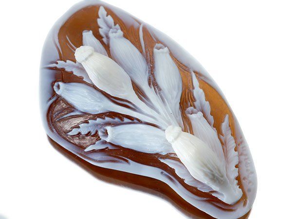 ジュエリー 作家品 サイン刻印有 立体的お花の彫刻 シェルカメオルース 61.4ｍｍ×33.7ｍｍ a2836o 送料無料