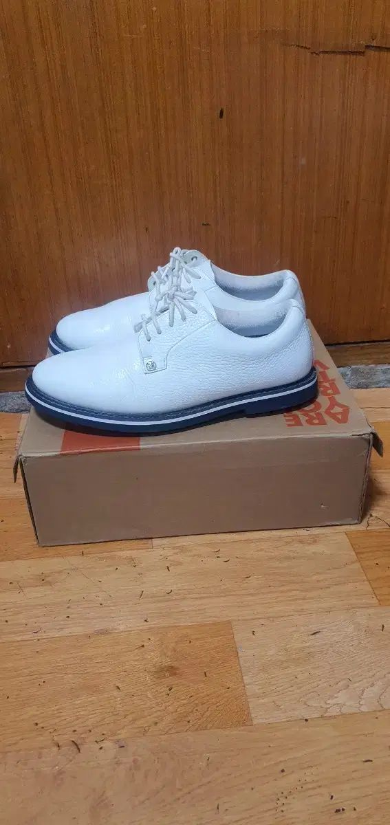 g4メンズゴルフシューズ260m G4MC20EF01