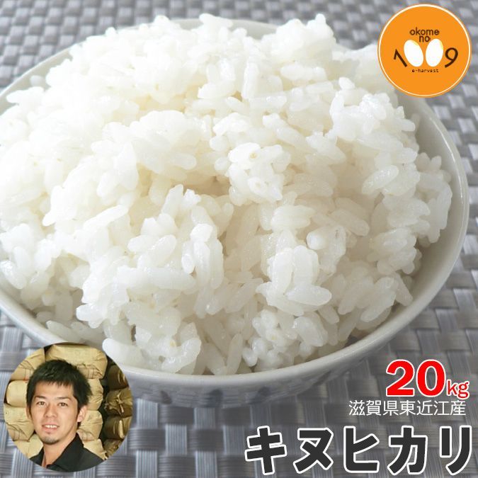 食品 近江米 令和5年 キヌヒカリ 白米 20キロ