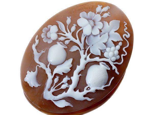 ジュエリー ディルーカ社 作家刻印有り 植物の彫刻 シェルカメオルース 60.0ｍｍ×45.0ｍｍ a2844o 送料無料