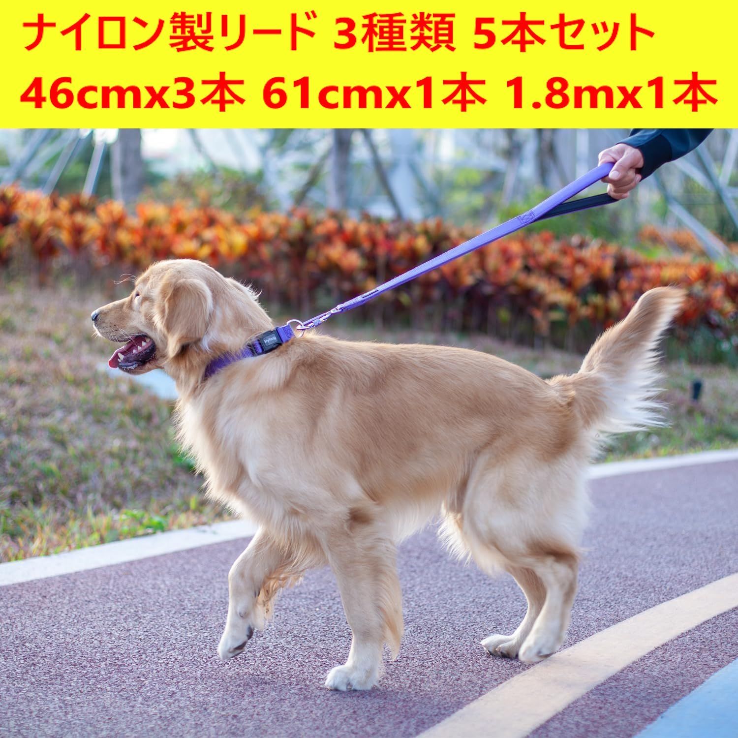 5本セット ♥ Hyhug ナイロン製 犬用 リード 46cmx3本 61cmx1本 1.8mx1本 調節 色 ウルトラバイオレット 大型犬 中型犬 小型犬 283f21