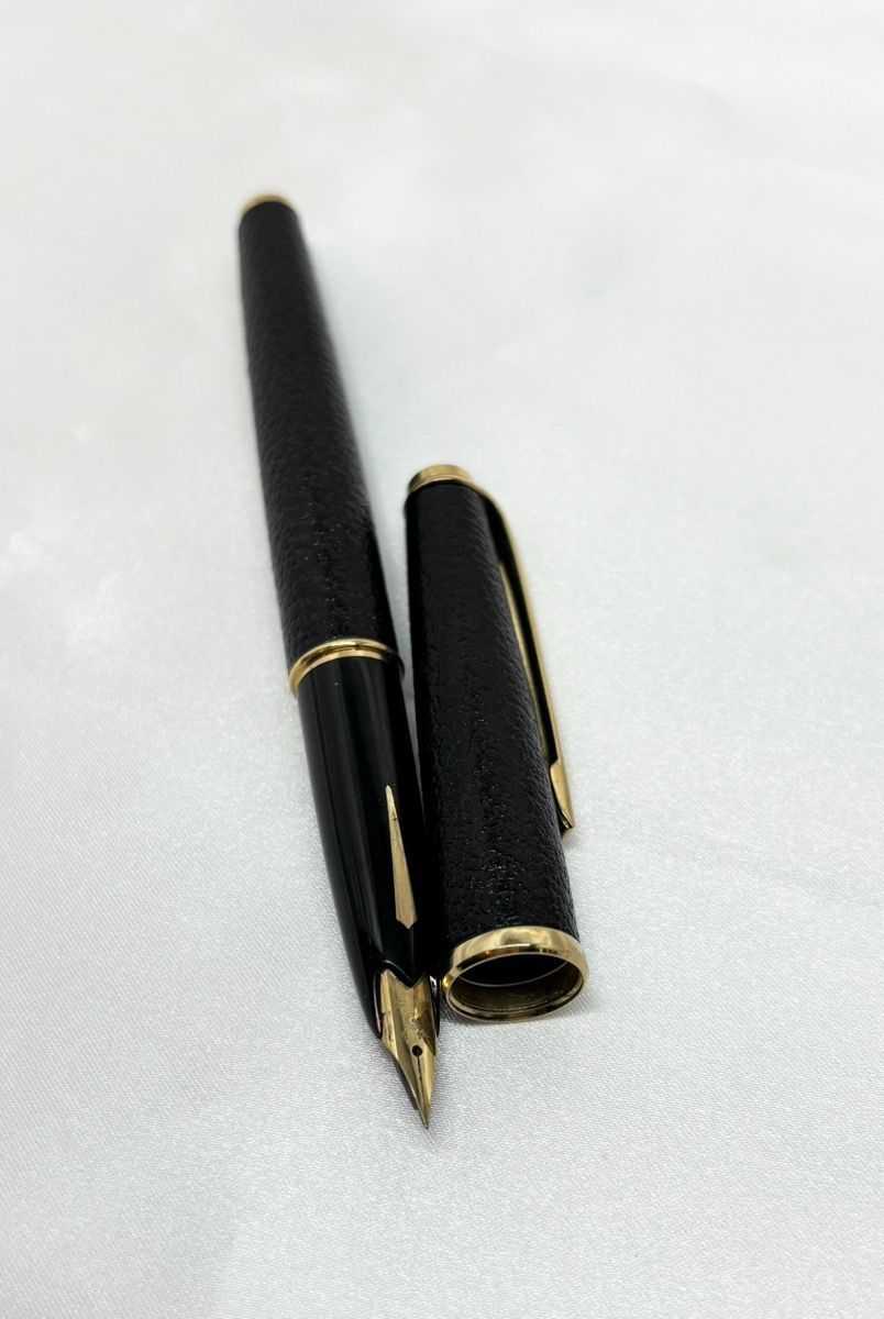 PLATINUM プラチナム 万年筆 22K 細字 プラチナ万年筆 PLATINUM