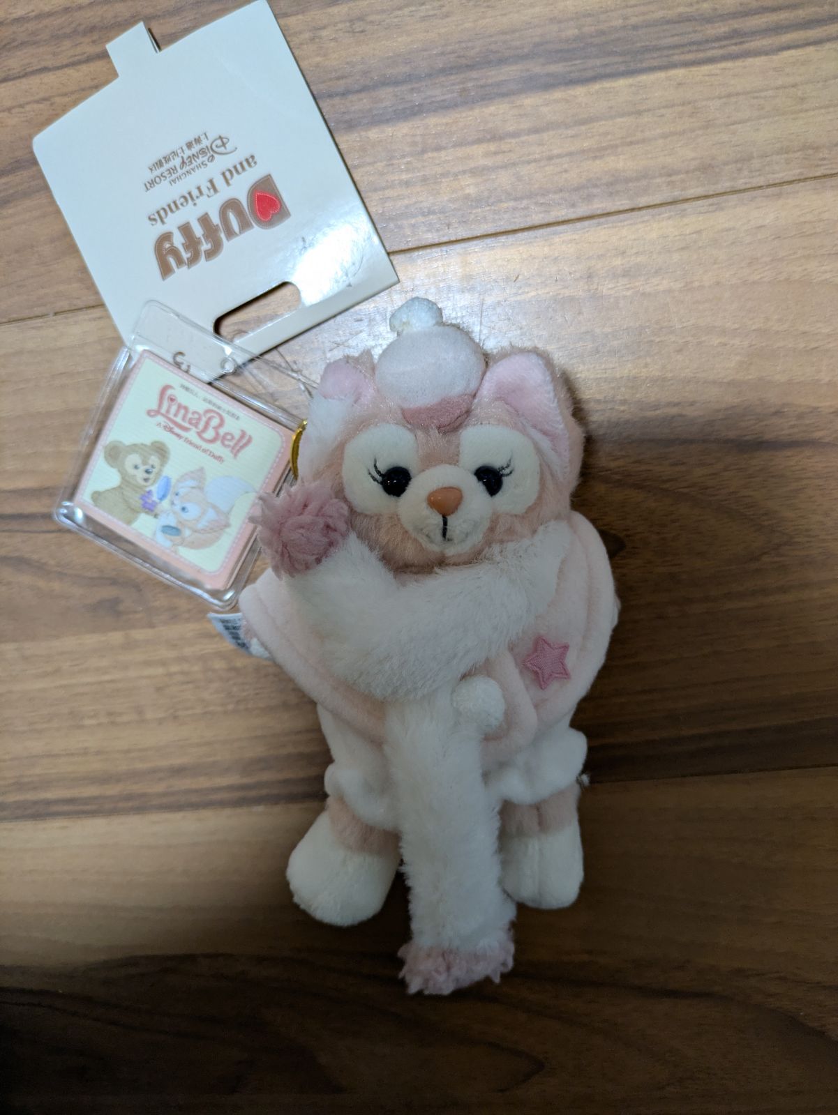 DISNEY RESORT タグ付 お顔厳選 ギフト プレゼント