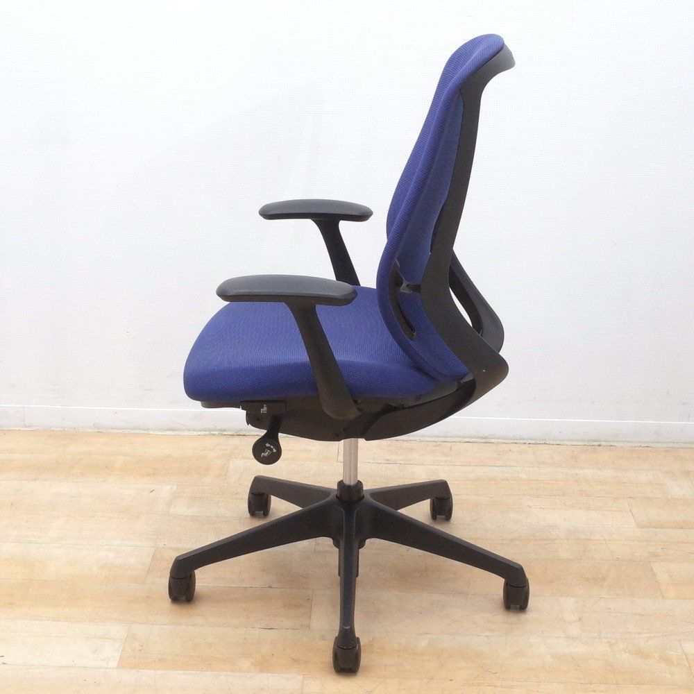 ブルー バックカーブアジャスト