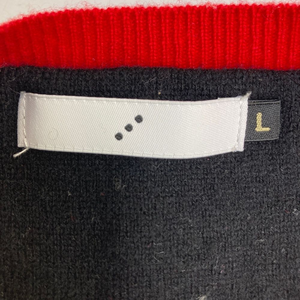 サイズ：L ROUGH&SWELL ラフアンドスウェル カシミヤ Vネック ニット