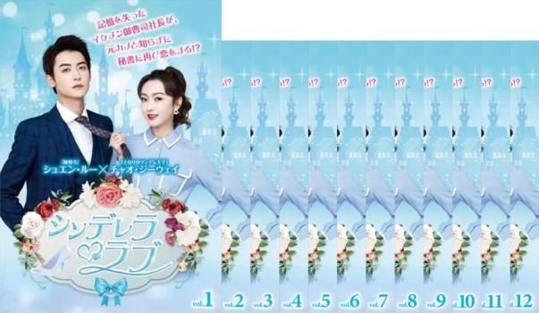 シンデレラ・ラブ (12巻セット) [レンタル落ち] [DVD] ！シンデレラ