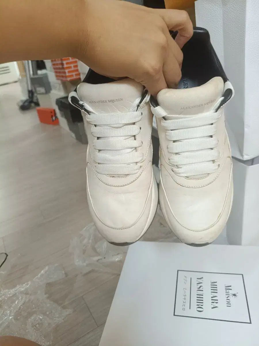 アレキサンダー