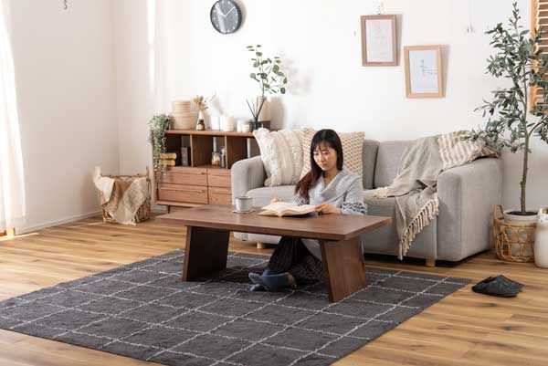 W120×D55×H38cm No.89