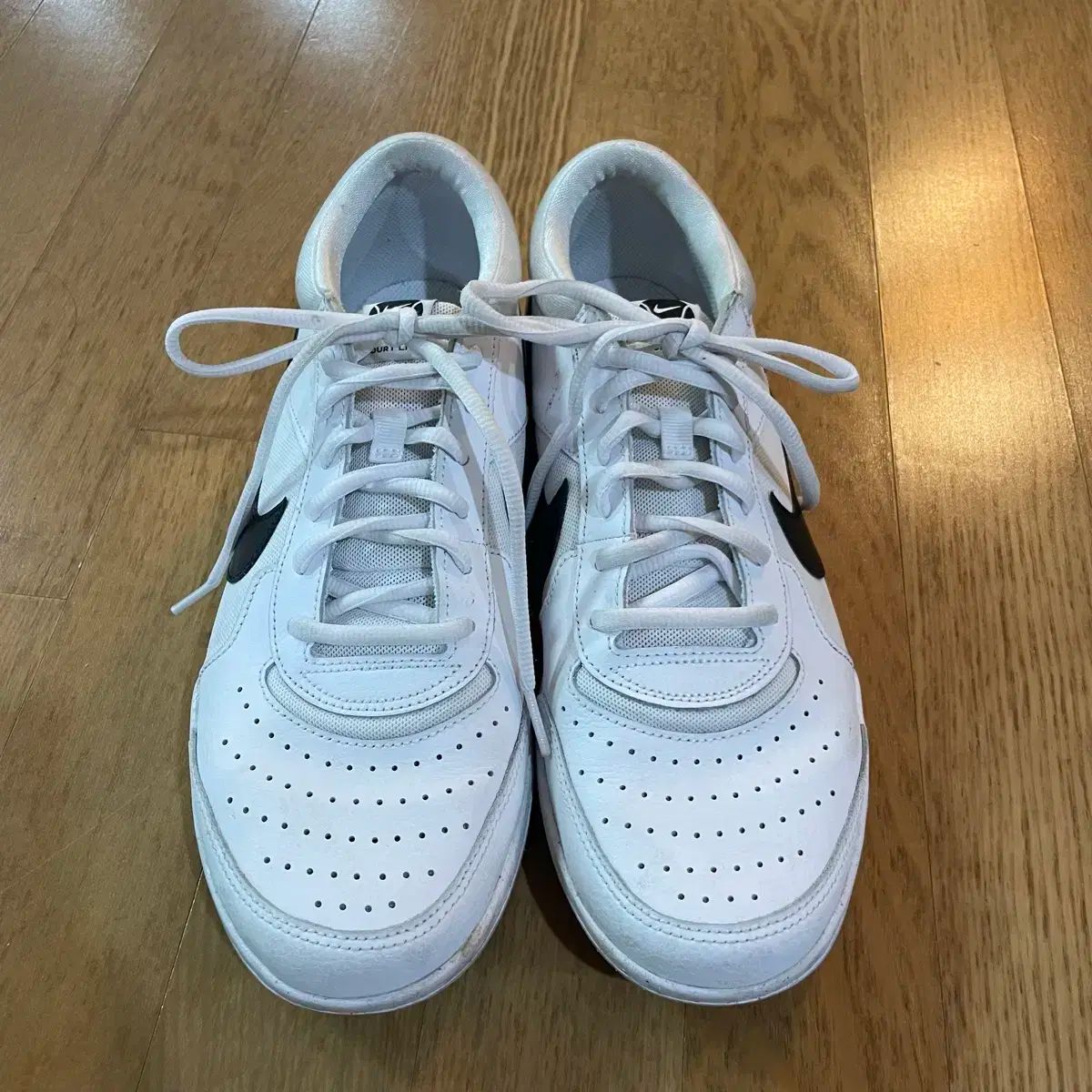 ナイキ コート ズーム ライト テニスシューズ 270