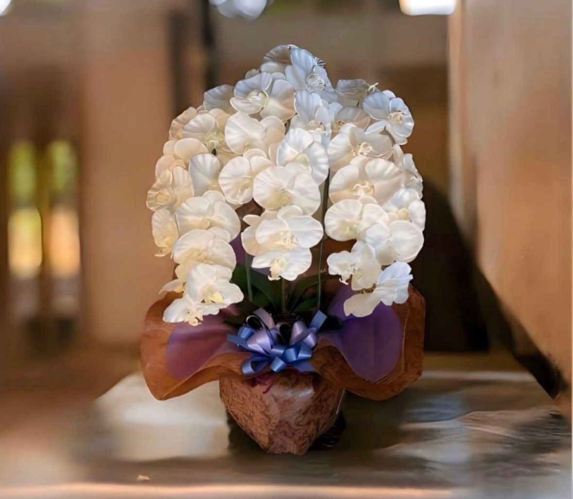 ウォールグリーン フェイクグリーン