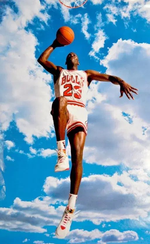 275 mm ジョーダン7 レトロ ヘア 2015 ナイキコリア