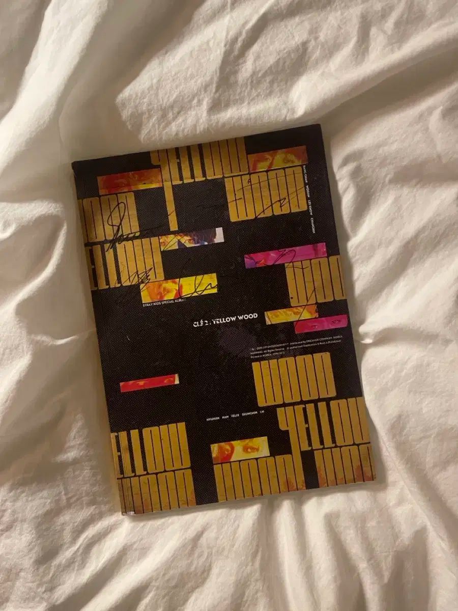 Stray Kids ストレイキッズ スキズ SKZ イェロー ウッド 副作用 Mixtape サイン入り アルバム