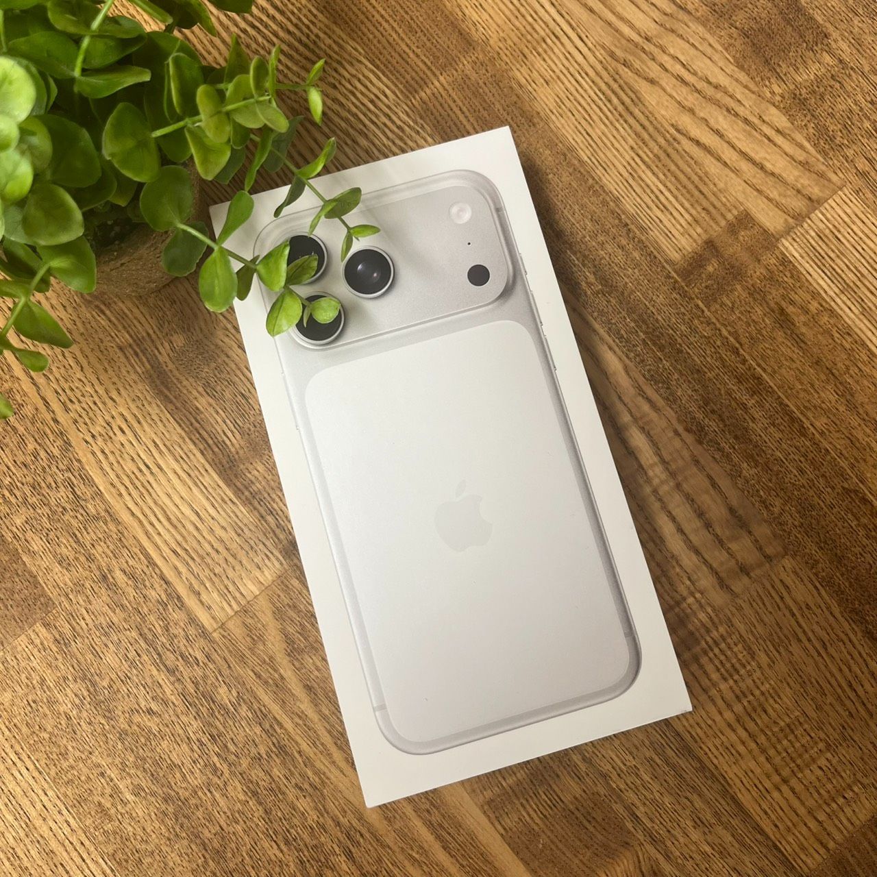 未開封 iPhone17 ProMax 1TB シルバー Apple SIMフリー 送料無料