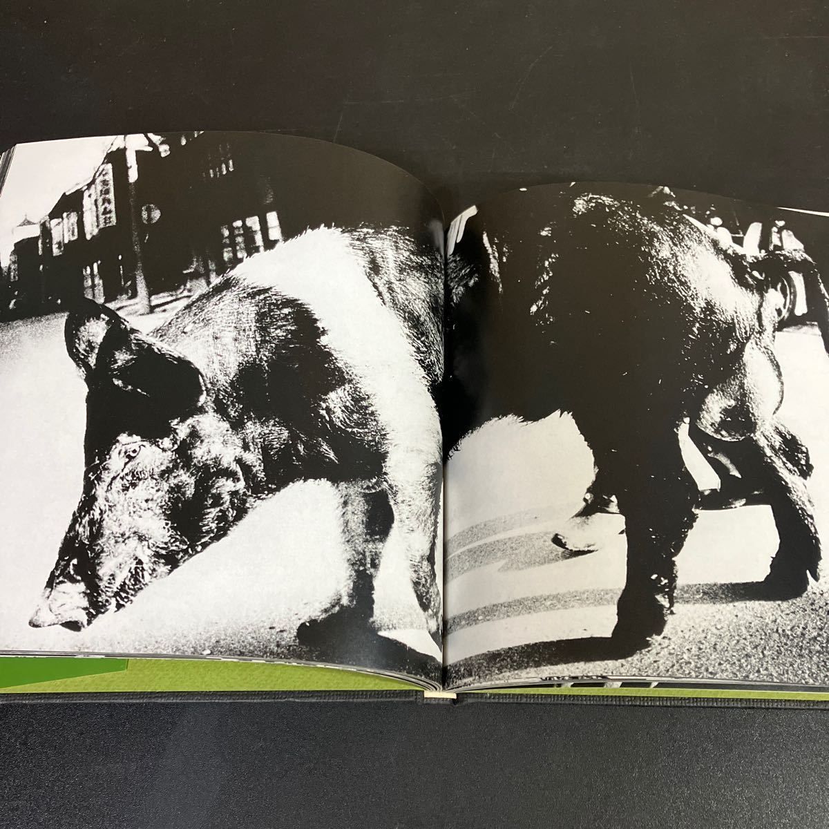 続にっぽん劇場 写真帖 」森山大道 1978年 ソノラマ写真選書6 Japan,a