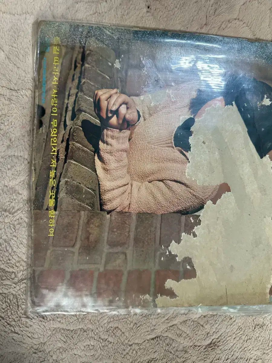 ヤン ヒウン BEST LP 野道 したがって|愛 何であるか