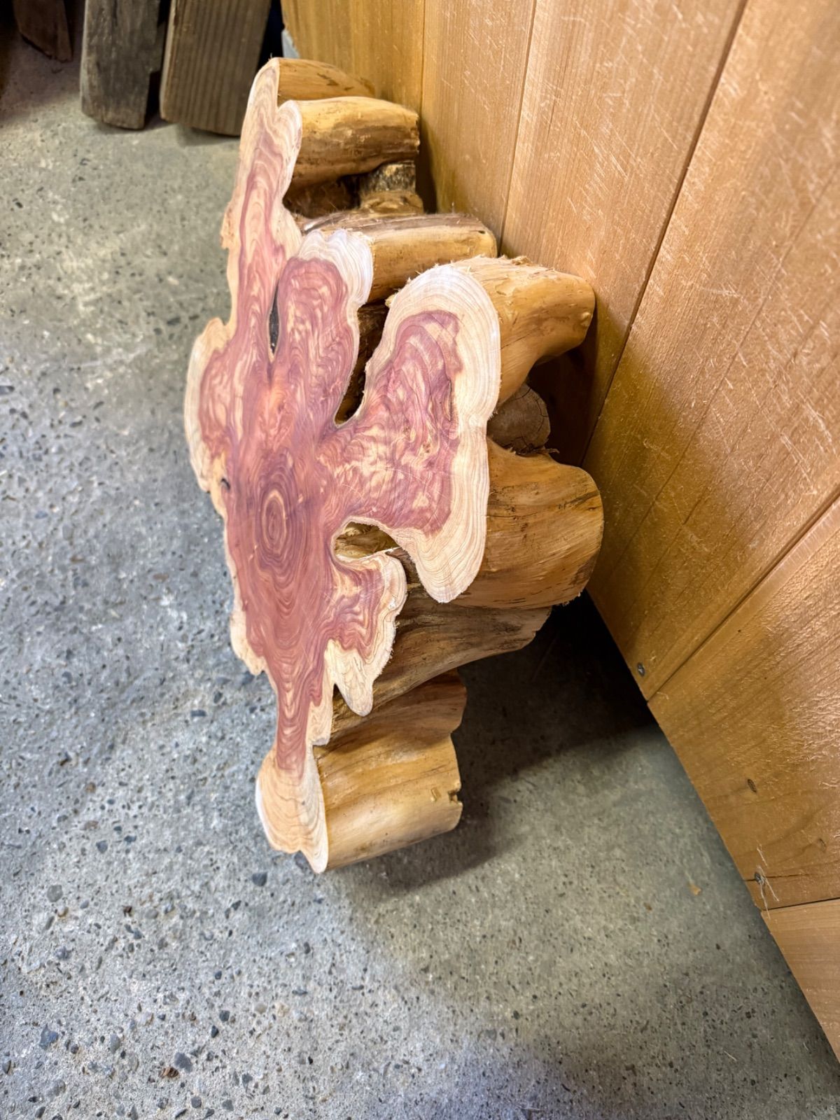 厚 貝塚伊吹 カイヅカイブキ 板 一枚板 無垢材 銘木 サイドテーブル 木工 DIY 素材