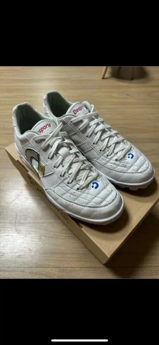 デスポルチ Desporte リオ LL TF フットサルトレーニングシューズ 24FW