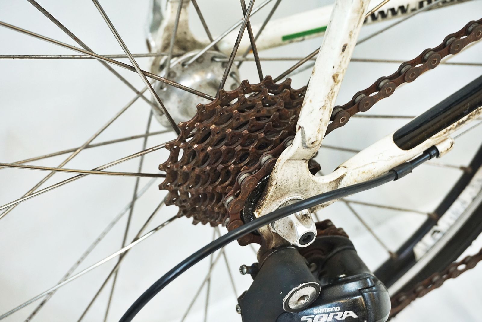 バイチャリ有明店