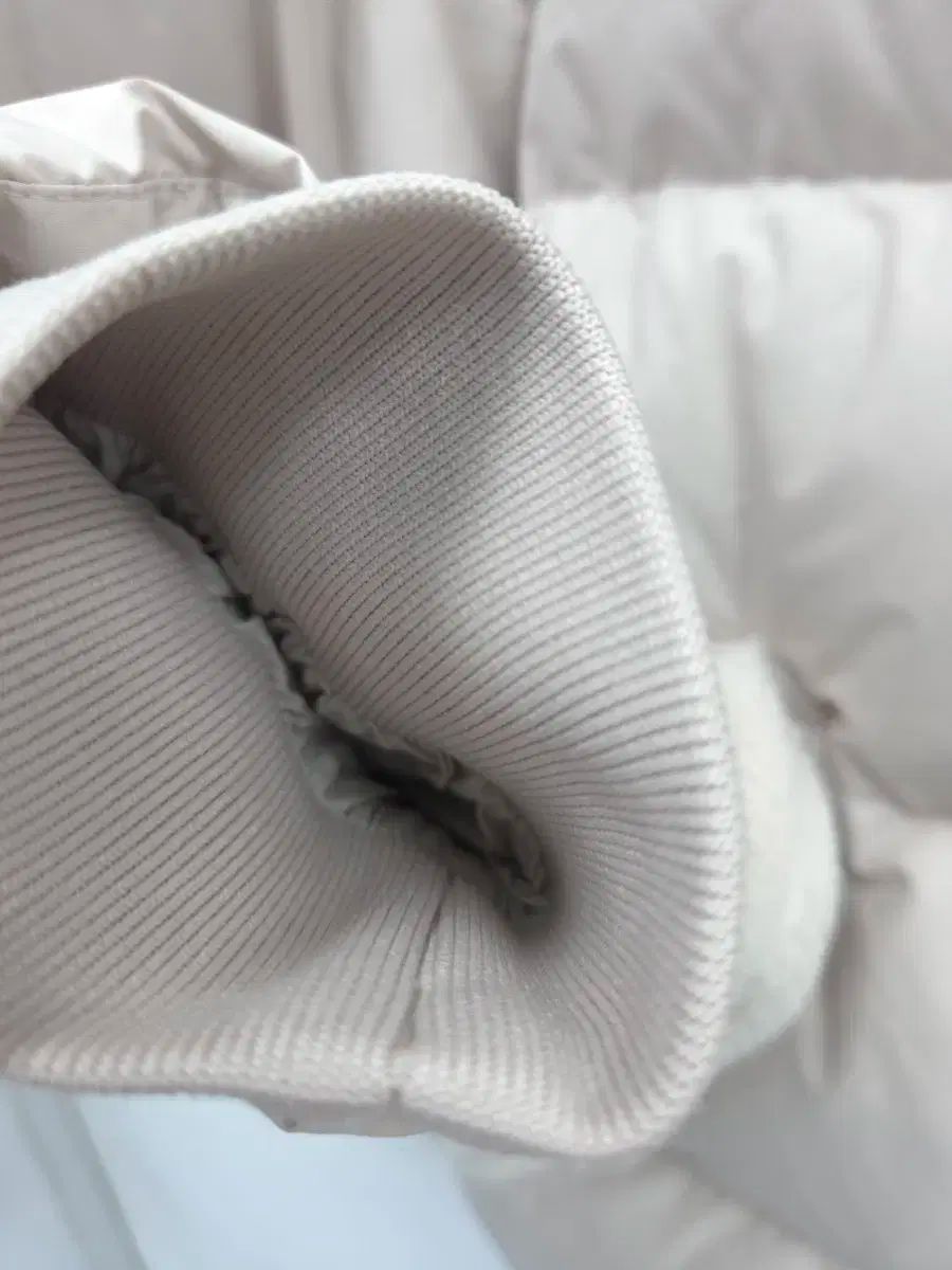 ナショナルジオグラフィック