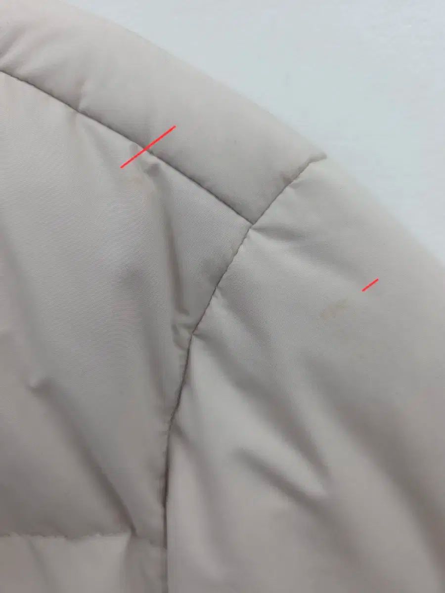 ナショナルジオグラフィック