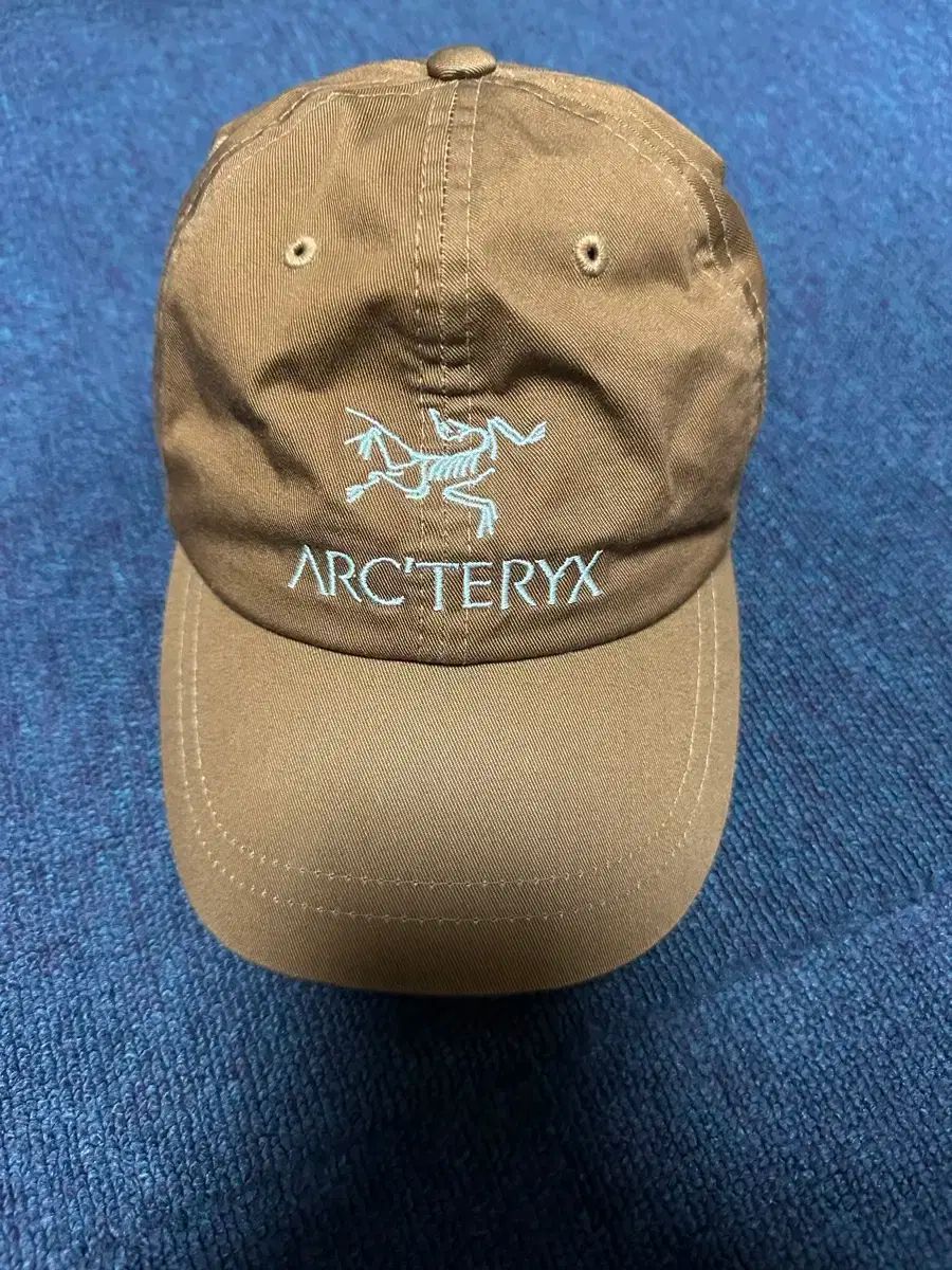 ARC TERYX アークテリクス PALACE パレス ベースボールキャップ