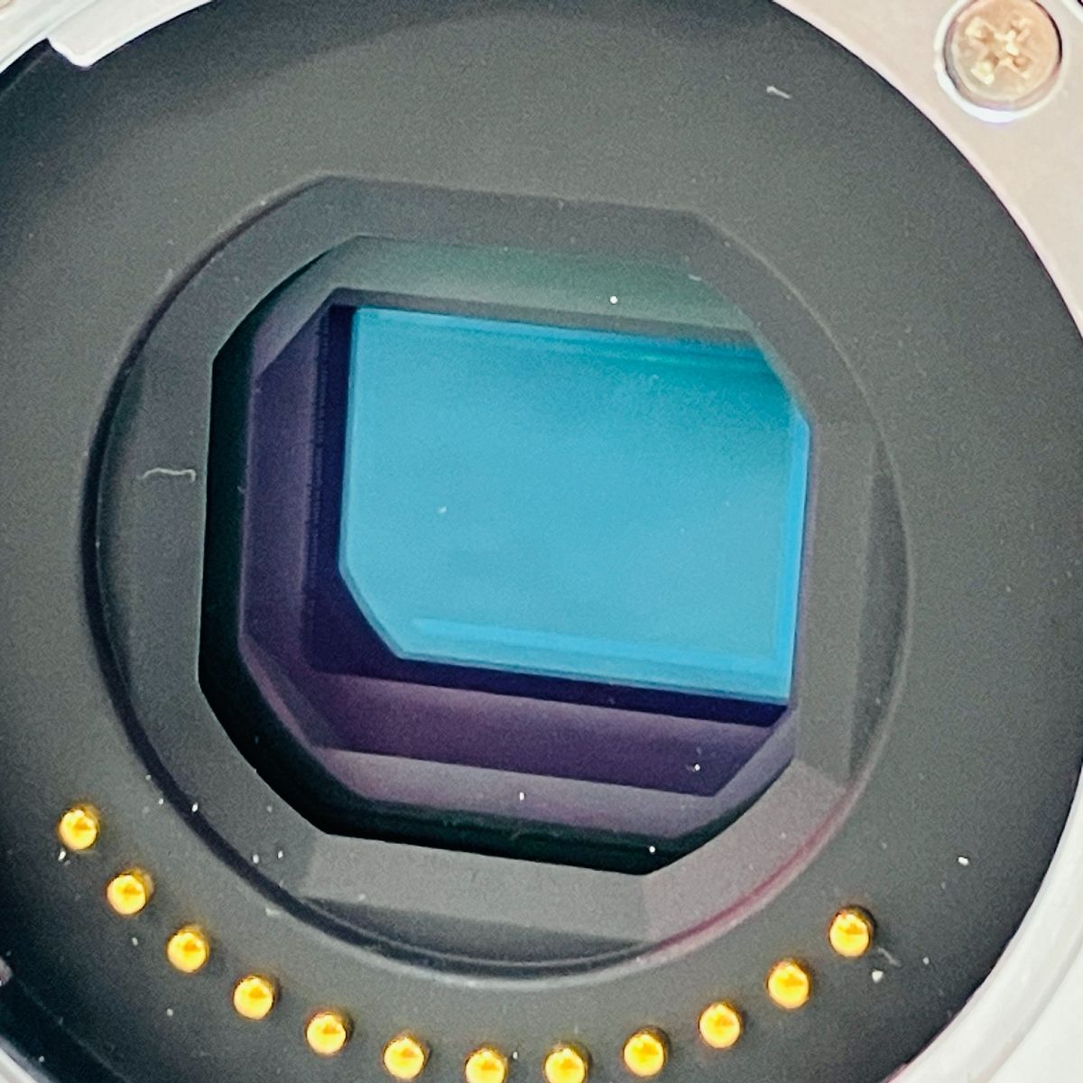 ミラーレス 一眼