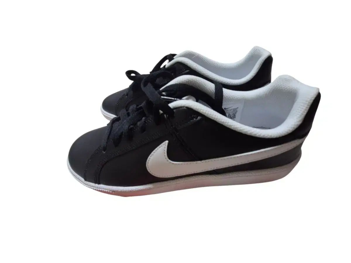 コート ロイヤル