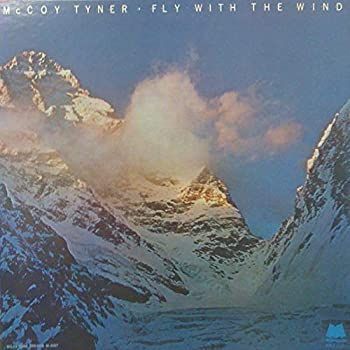 【中古】「非常に良い」［CD］windandwindows 非常に良い」［CD］フライ・ウィズ・ザ・ウインド 【公式通販】