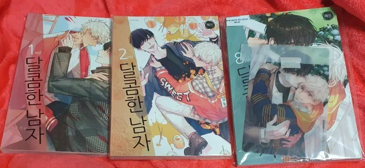 粉彩琺瑯彩花鳥チ竜鎏金双耳抱月瓶扁瓶 景徳鎮 陶磁器 人気 装飾品現代