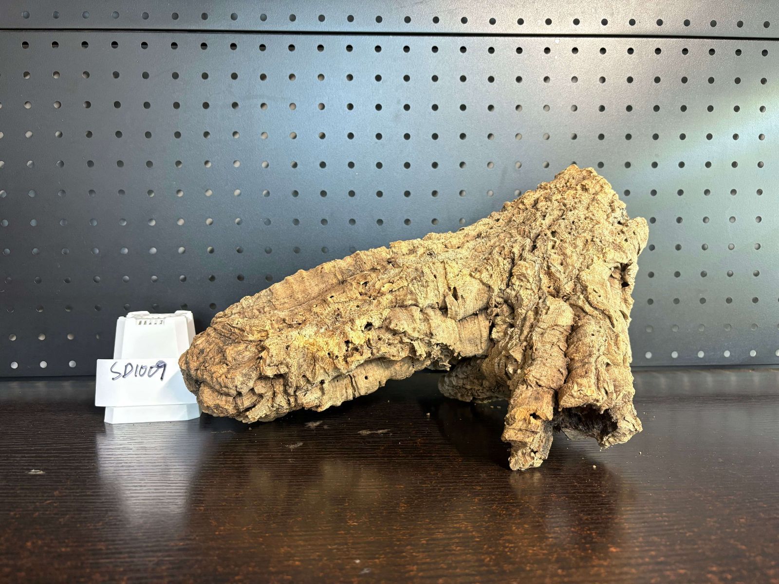 SD1009 ポルトガル産 キャノンコルク コルク樹皮 コルク板 バージンコルク 送料無料 チランジア ビカクシダ 着生ラン 両生類 爬虫類