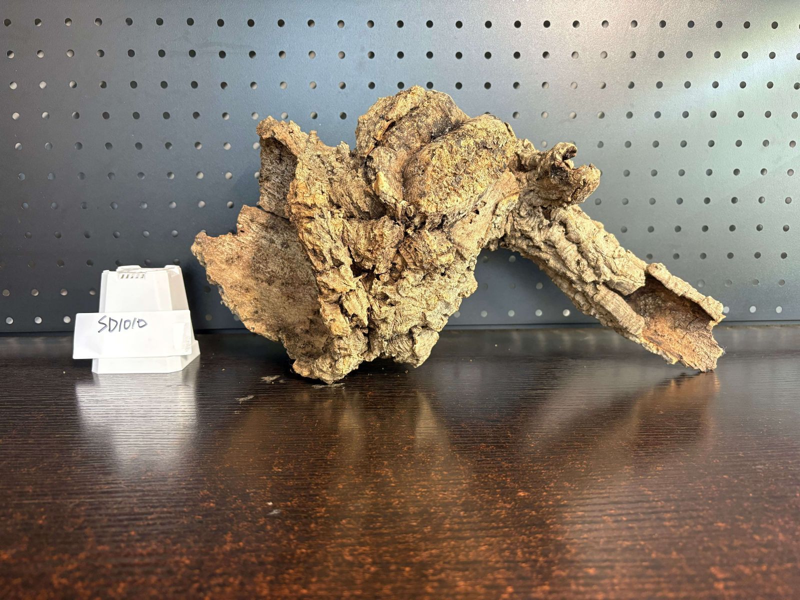 C051 ポルトガル産 キャノンコルク コルク樹皮 コルク板　バージンコルク SD1010 ポルトガル産 キャノンコルク コルク樹皮 コルク板 バージン