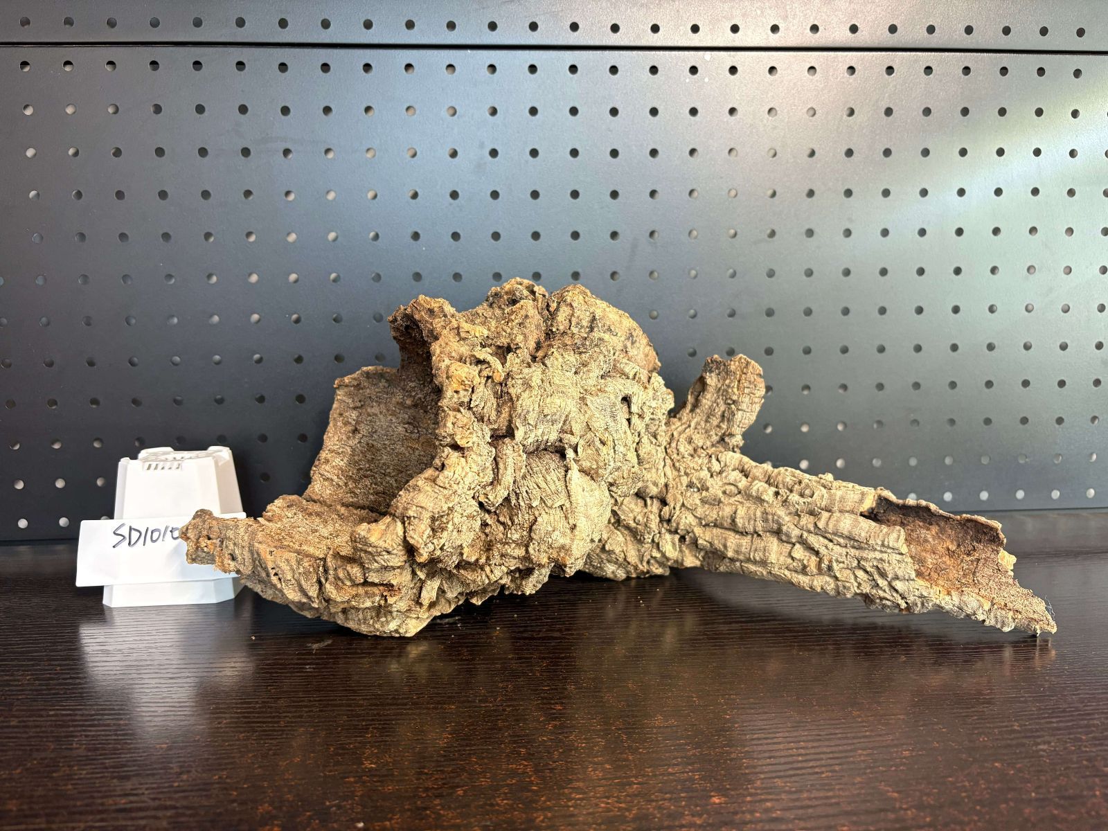 SD1010 ポルトガル産 キャノンコルク コルク樹皮 コルク板 バージンコルク 送料無料 チランジア ビカクシダ 着生ラン 両生類 爬虫類