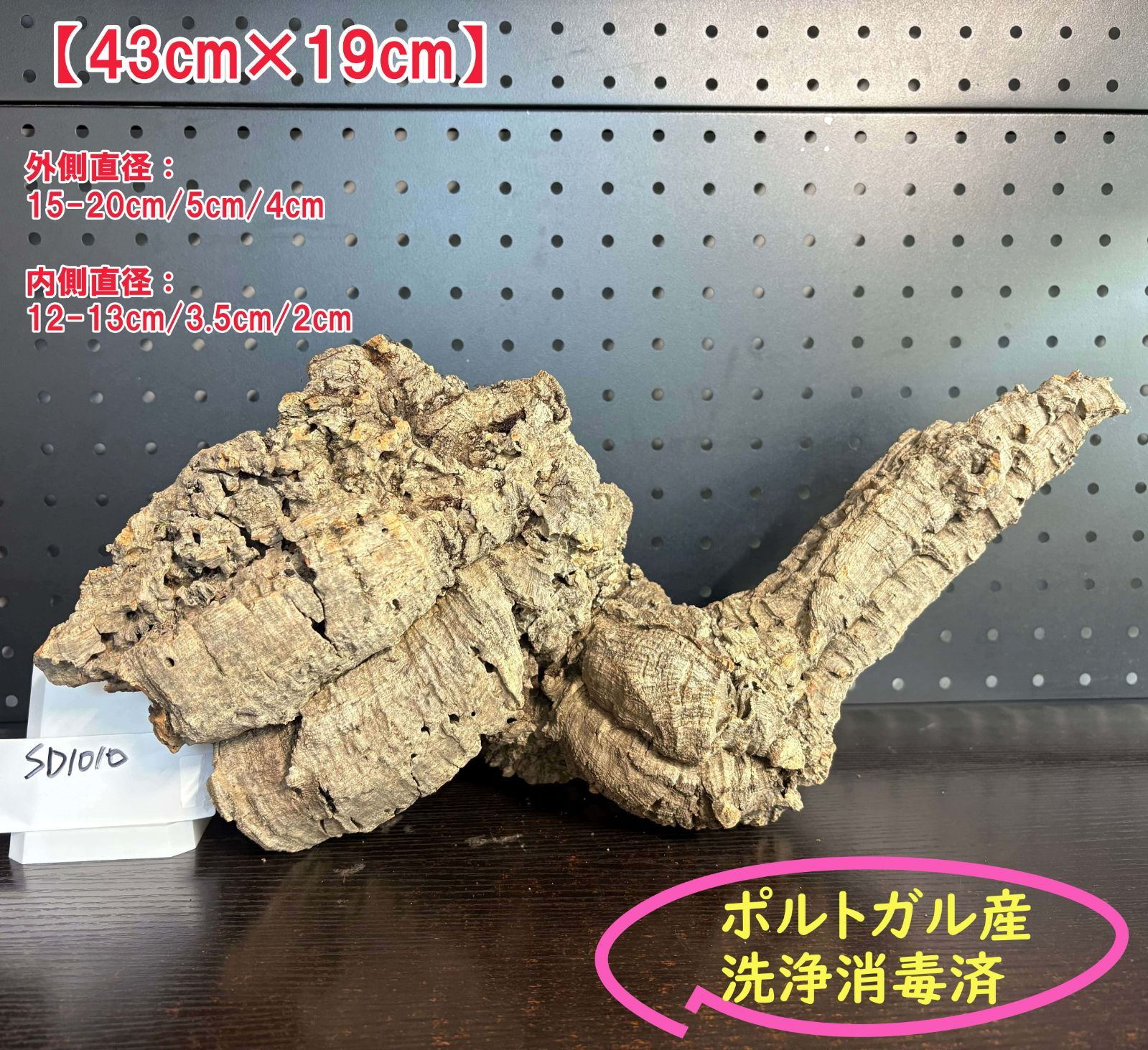 SD1010 ポルトガル産 キャノンコルク コルク樹皮 コルク板 バージンコルク 送料無料 チランジア ビカクシダ 着生ラン 両生類 爬虫類