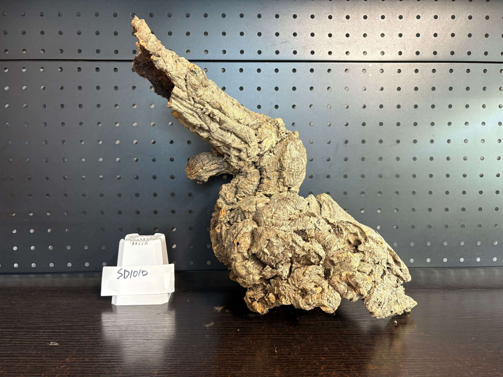 SD1010 ポルトガル産 キャノンコルク コルク樹皮 コルク板 バージン