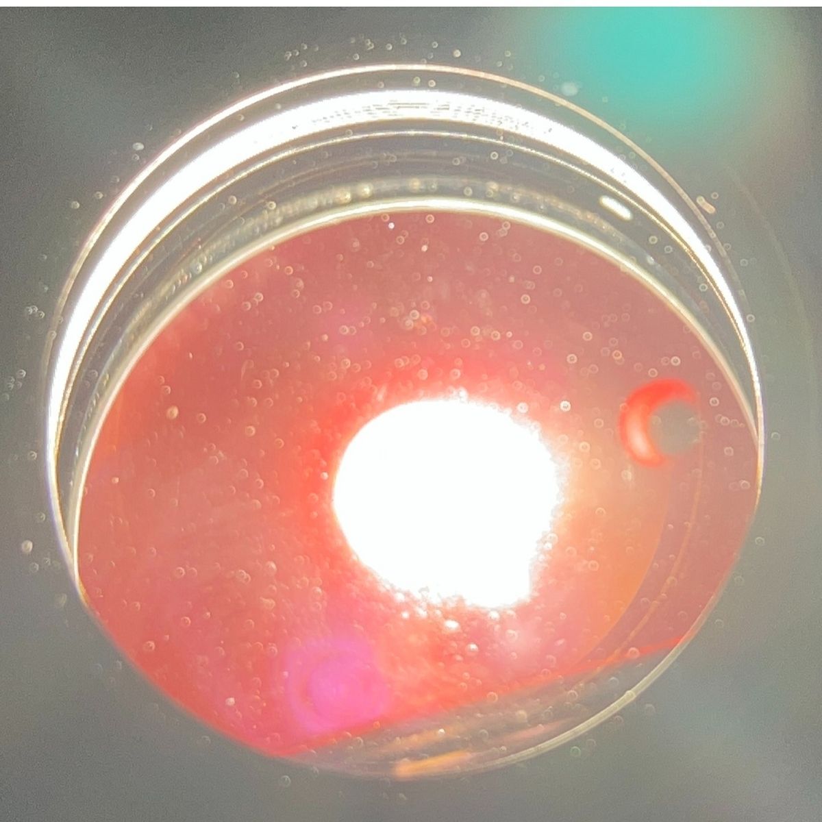 Rollei Xenotar 75 mm F 3 5 ローライ ローライフレックス 二眼レフ フィルムカメラ