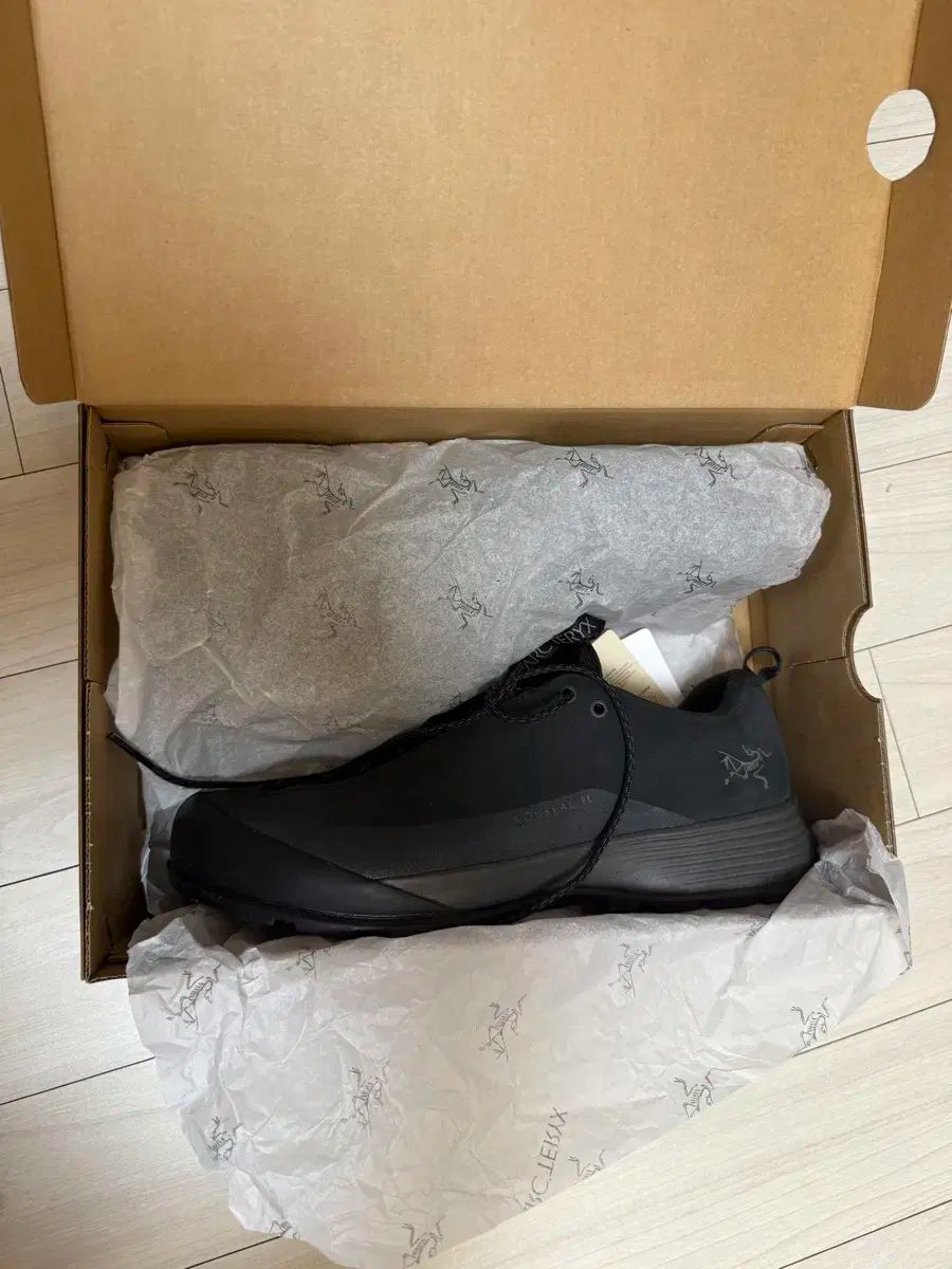 ARC TERYX アークテリクス コンシールfl 2 gtx 260