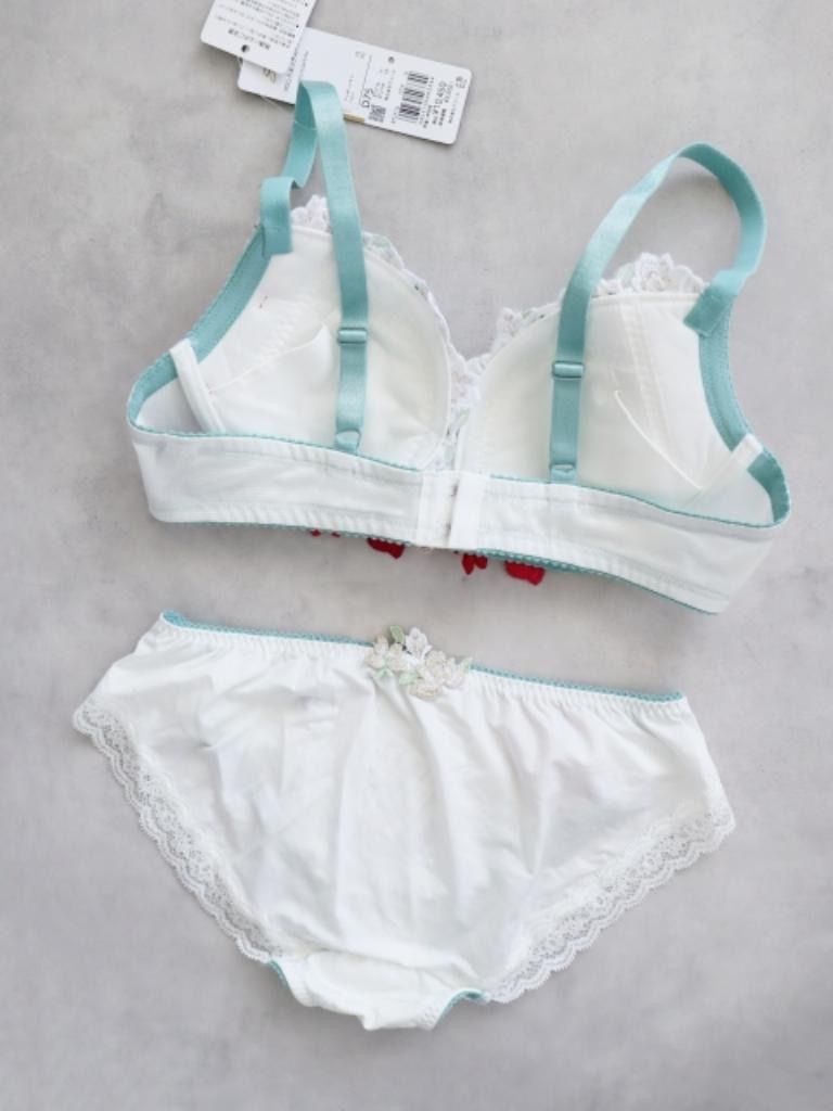 ☆【新品 2025年製】 Wacoal Salute ワコールサルート 16G 白雪姫 ブラ