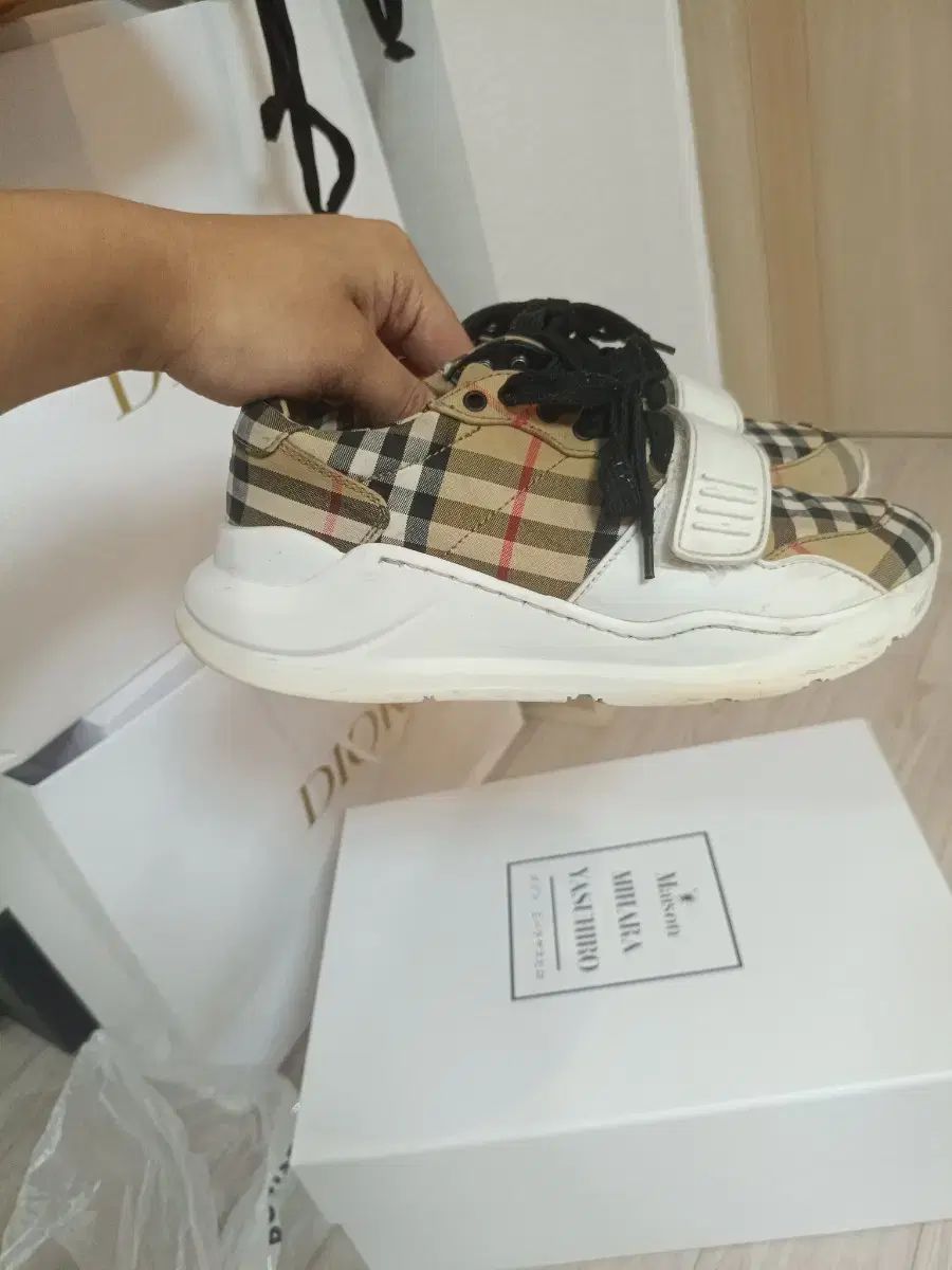 チェック コットン