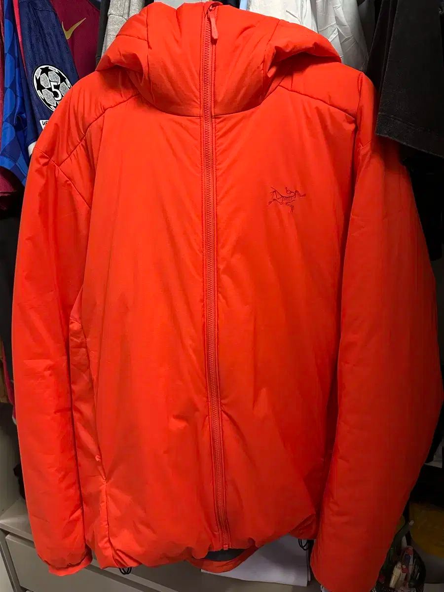 ARC TERYX アークテリクス Atom アトム SV ソーラーライズ Mサイズ