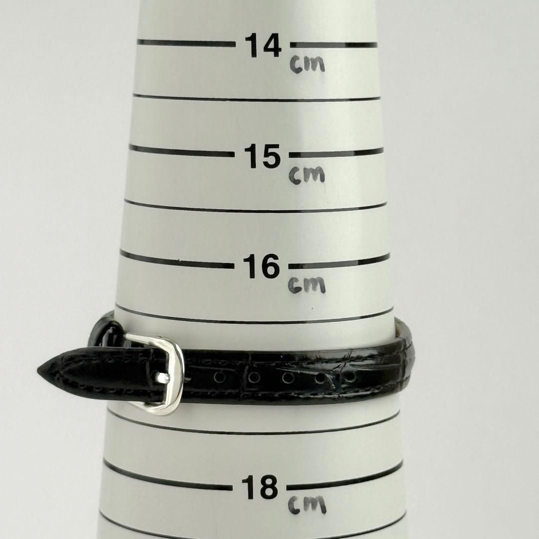 電池 レディース