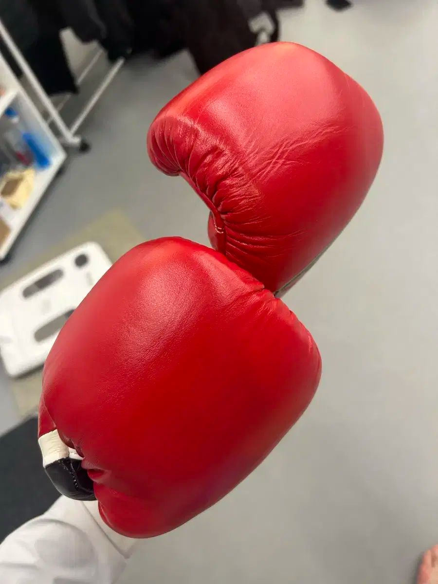 グラント ボクシング グローブ 10オンス