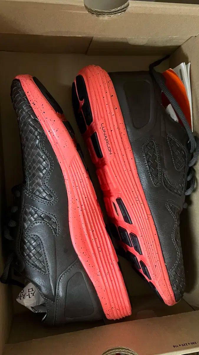 Alden HEMISPHERES by Jacobson別注 26センチ