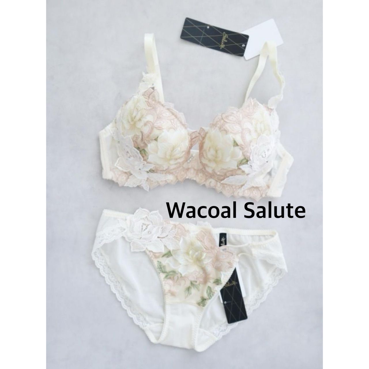 店舗 Wacoal Salute ワコールサルート 97G マレフィセント 日本製 ブラジャー-ショーツ E75|L 送料込み 6460089