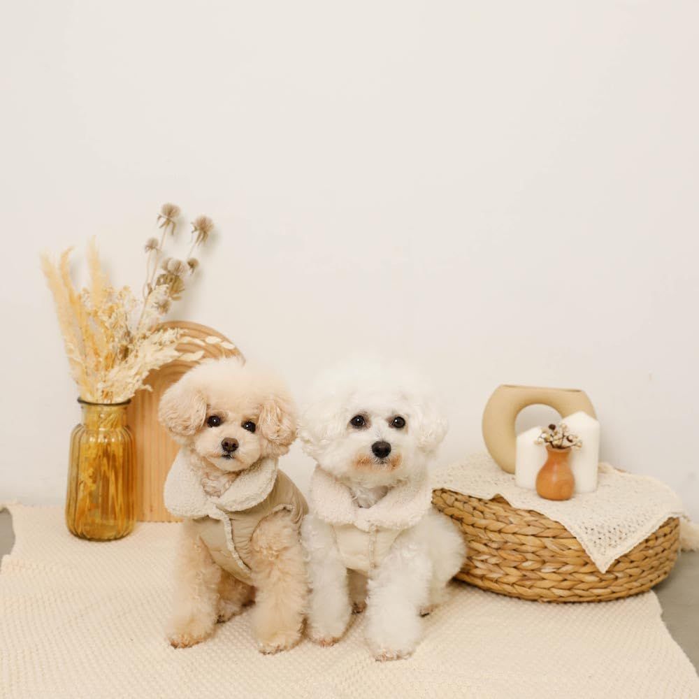 ドッグウェア 服