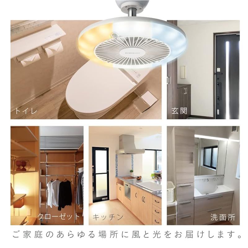 迅速発送 ドウシシャ