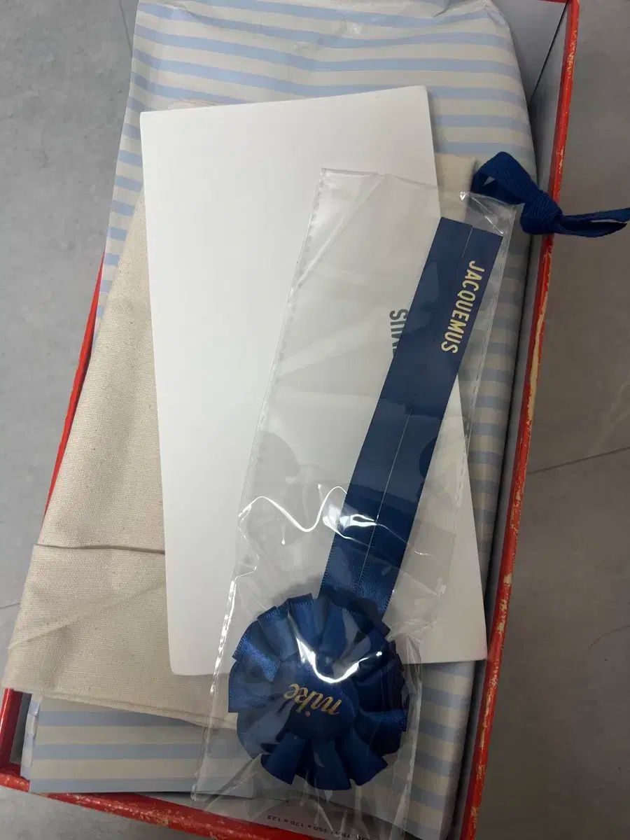 ナイキ ジークミュス ムーンシューズ 290