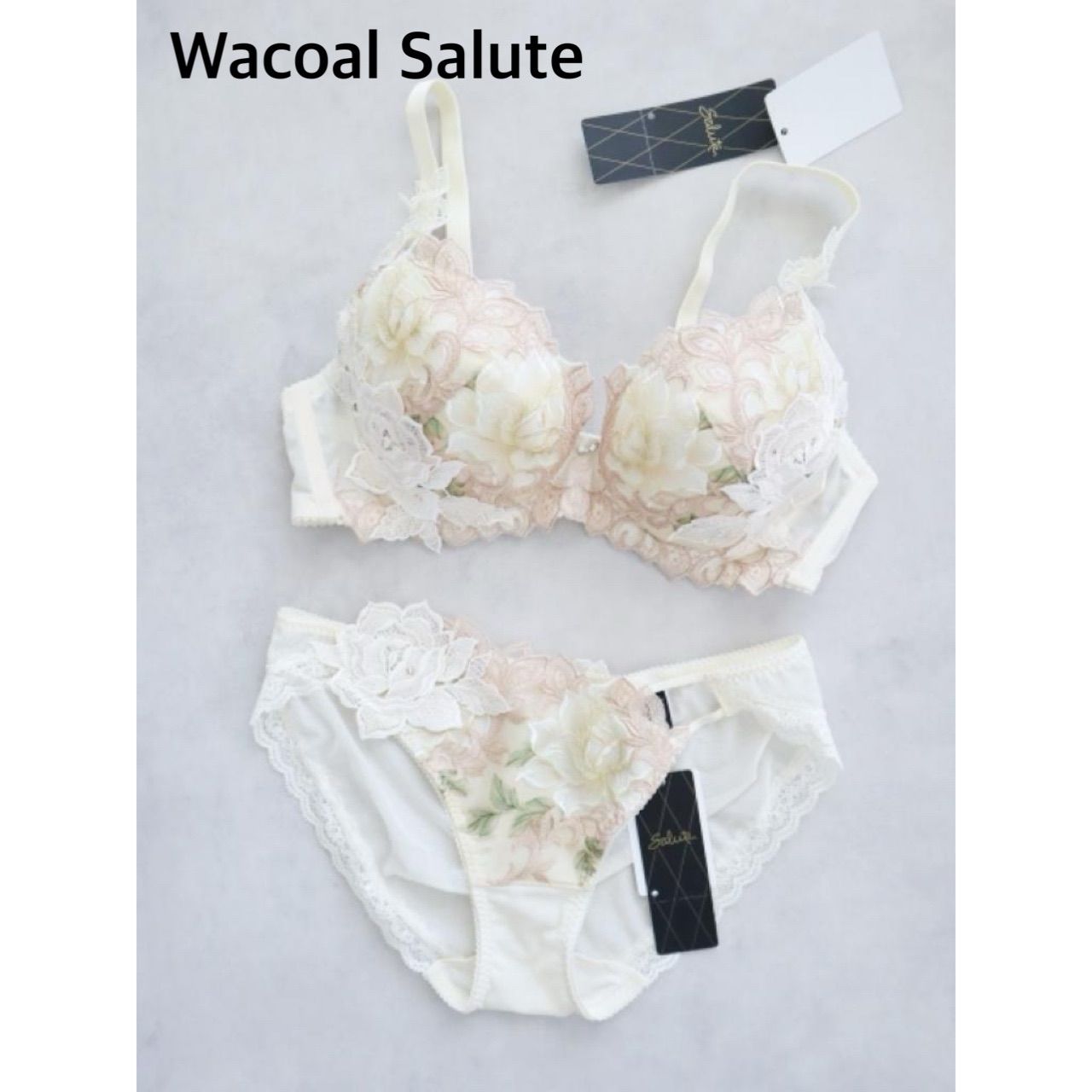 店舗 Wacoal Salute ワコールサルート 97G マレフィセント 2025年製 日本製 ブラジャー-ショーツ E75|L 送料込み 6460090