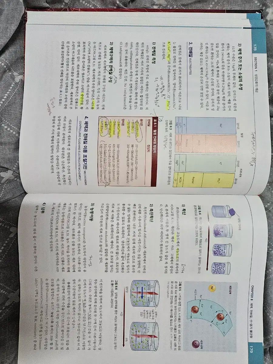 ヒョンムンサ 成人看護学 11版 上 下