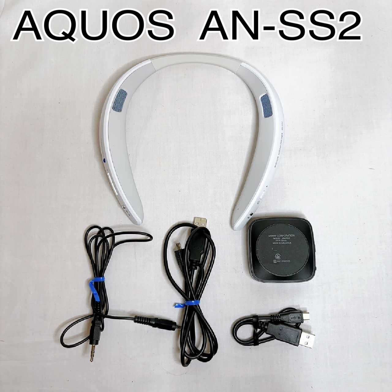 首に掛ける異色のスピーカー、シャープ「サウンドパートナー」を使って